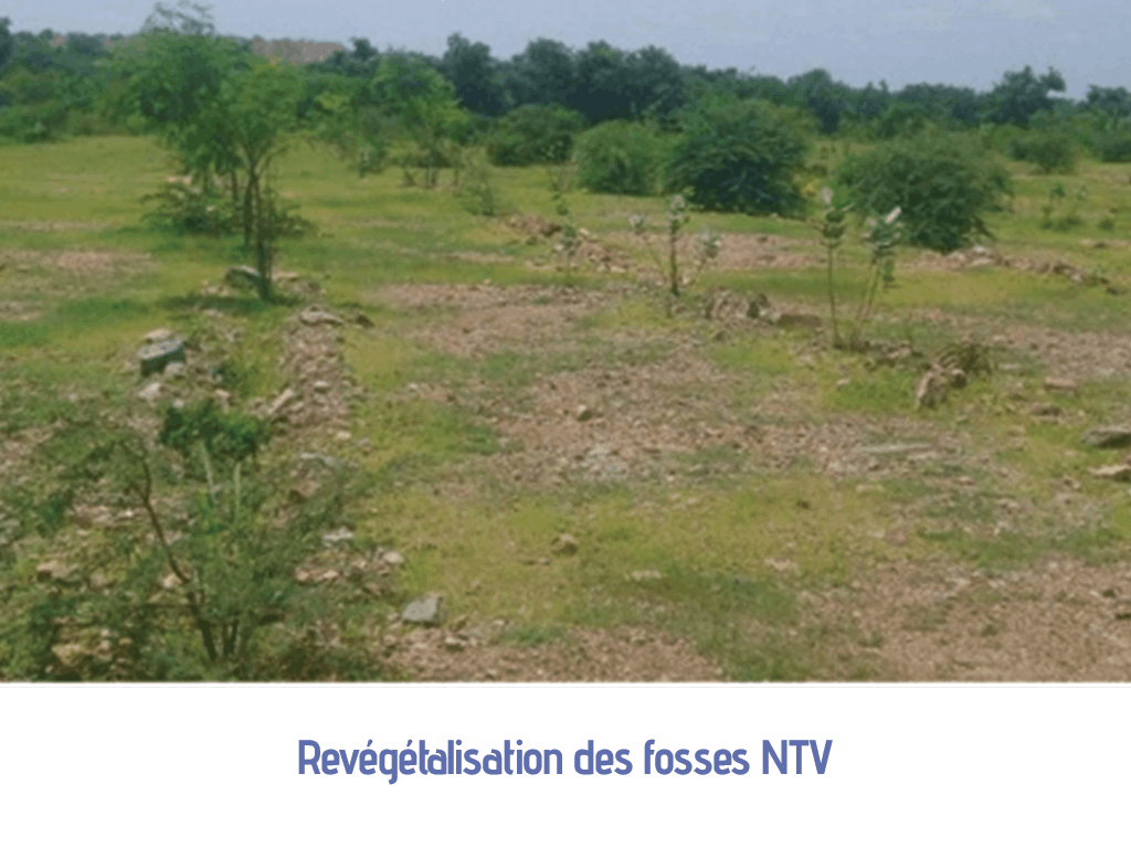 Image illustrant la revégétalisation des fosses NTV, montrant des efforts de restauration environnementale. Ce terrain verdoyant indique une amélioration de la biodiversité sur une surface modeste.