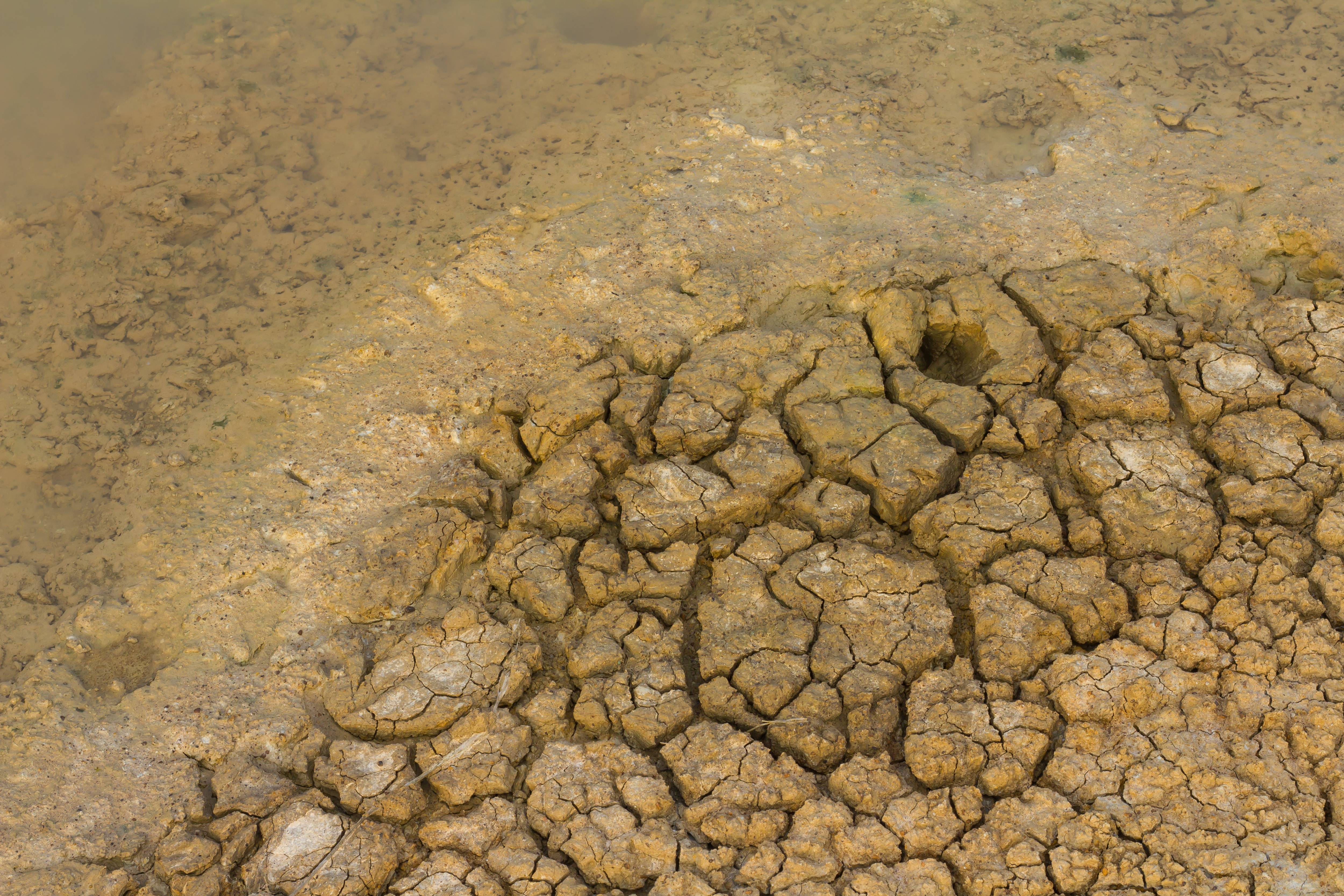 Vue rapprochée d'un sol craquelé, révélant les effets de la sécheresse. L'image montre des fissures profondes dans la terre, mettant en lumière les défis environnementaux liés à la gestion de l'eau et à la dégradation des terres.